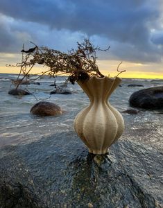 Vasen "Silence "