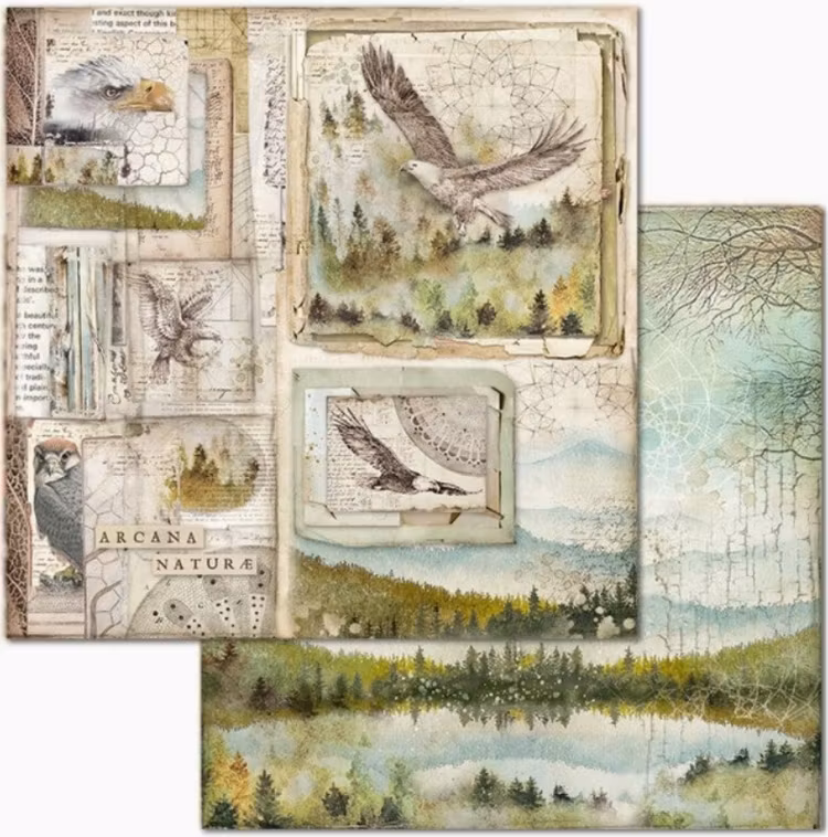 Stamperia - 12x12 Paper pad - Forest - SBBL63