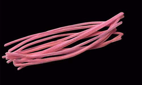 Piprensare, mörkrosa, 30cm x 6mm - 10st
