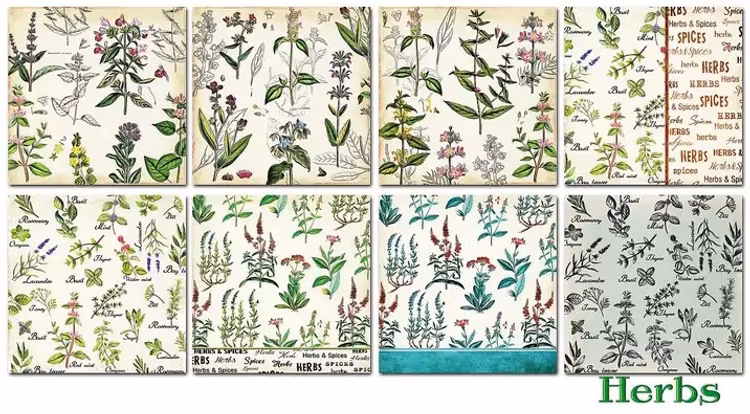 Decorer - Herbs (15x15cm)