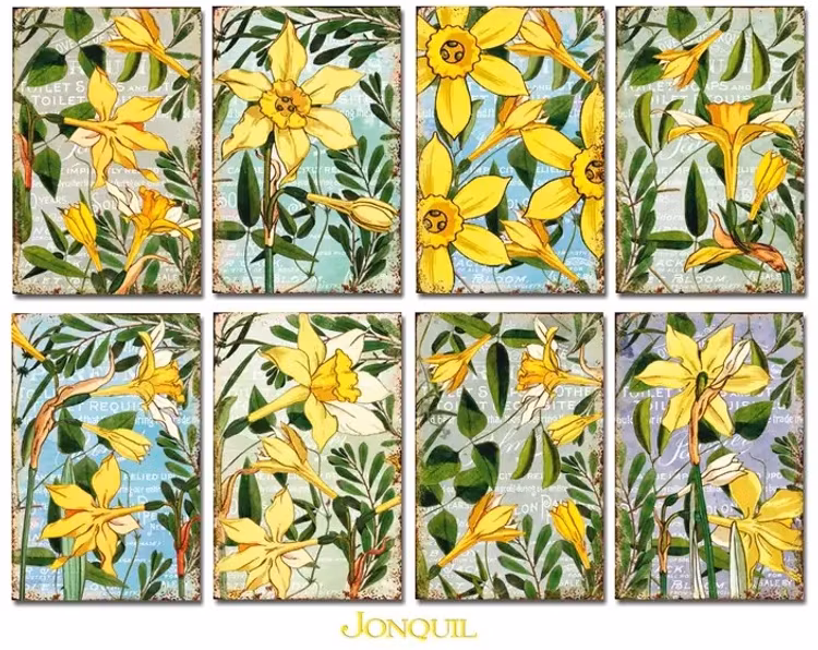 Decorer Mini - Jonquil (7x10,8cm)