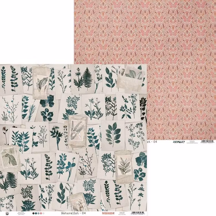 P13 - Naturalist 04 (30x30cm)