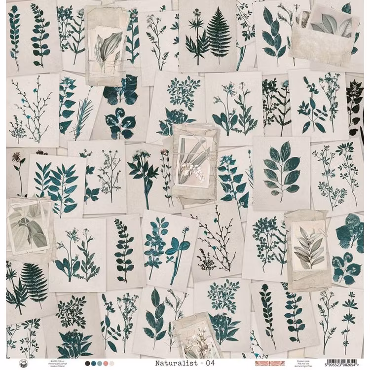 P13 - Naturalist 04 (30x30cm)