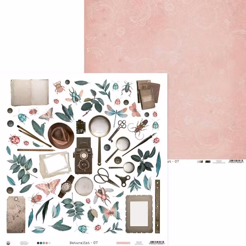 P13 - Naturalist 07 (30x30cm)