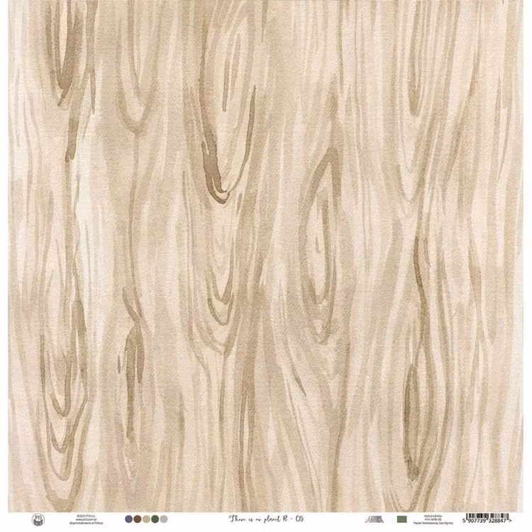 P13 - There is no planet B 05 (30x30cm)