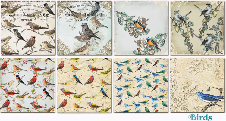 Decorer - Birds (15x15cm)