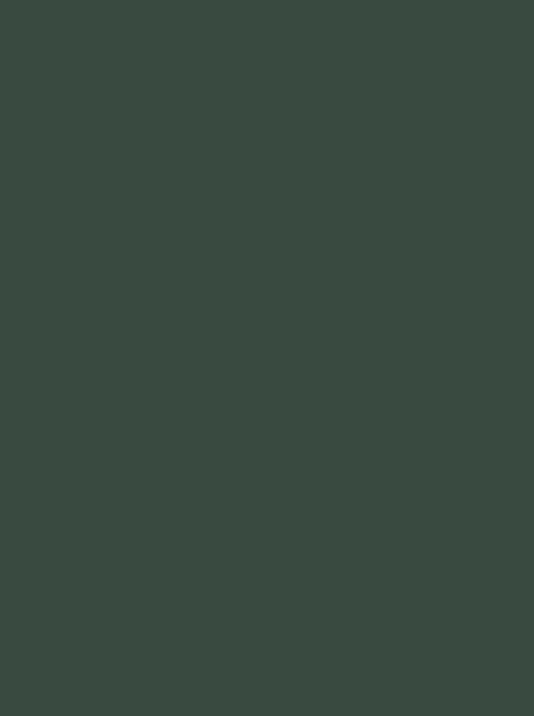 Matt605, Forest fern, 350grs - 10st
