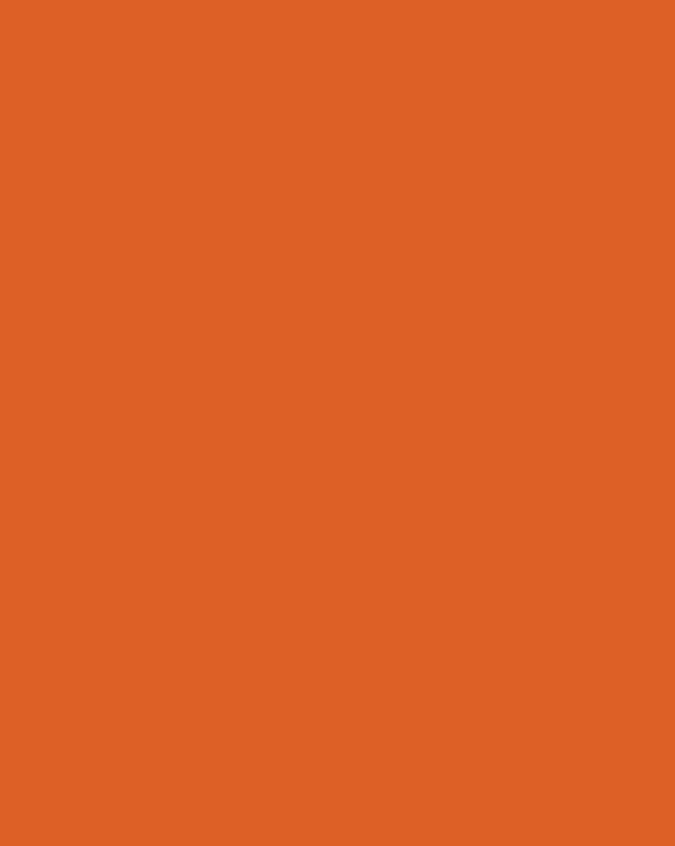 Matt636, Pumpkin, 350grs - 10st