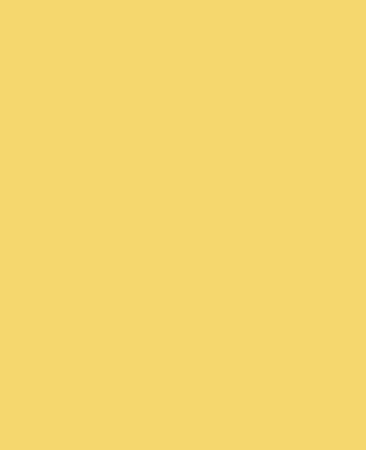 Matt638, Sunshine, 350grs - 10st