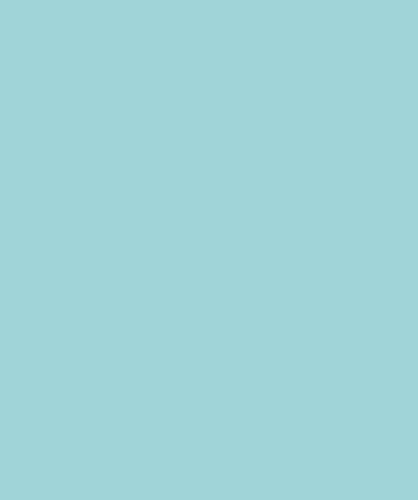 Matt650, Spearmint, 350grs - 10st