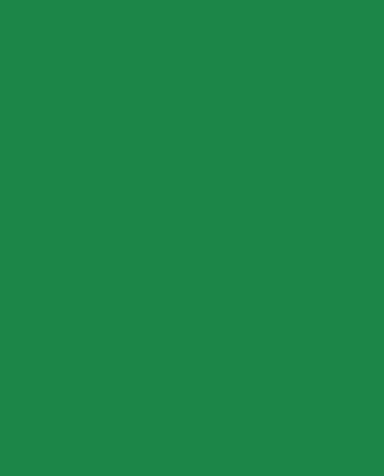 Matt652, Basil leaf, 350grs - 10st