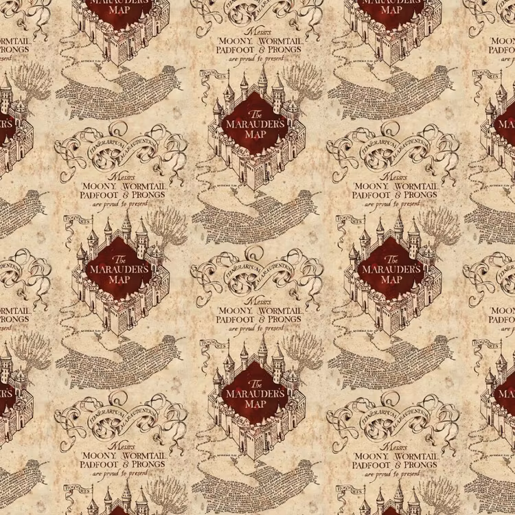 Harry Potter - Papper 12x12 - Marauders map - P2220