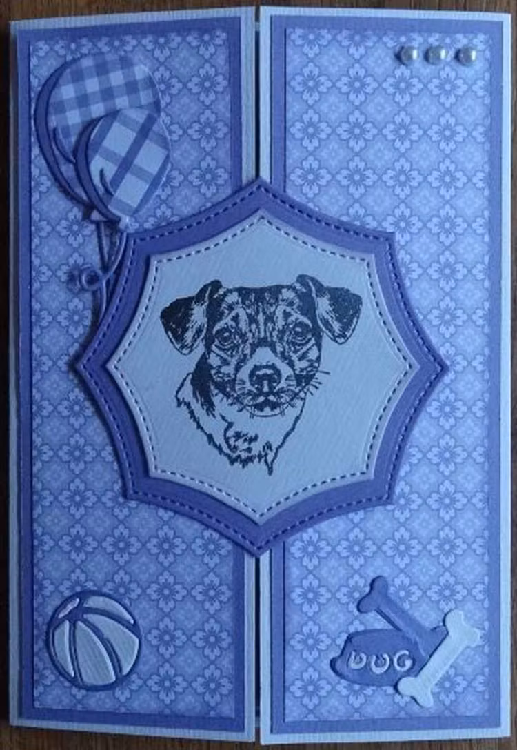 Nellie´s choice - ANI016 - Dog