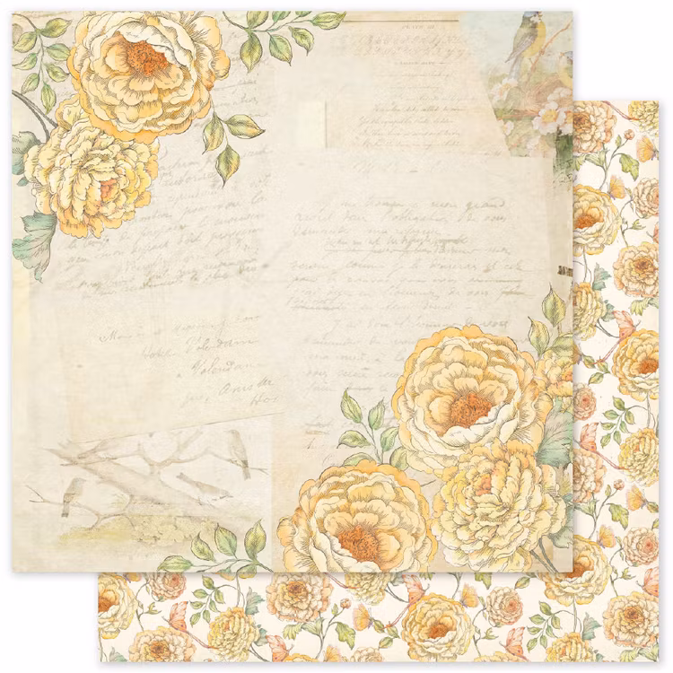 Paper Rose Studio - Words of wisdom Basics - 6x6