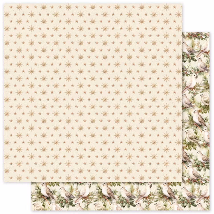Paper Rose Studio - Joy To The World Basics - B - 12x12