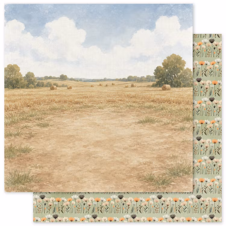 Paper Rose Studio - Halloween Harvest Basics - 6x6