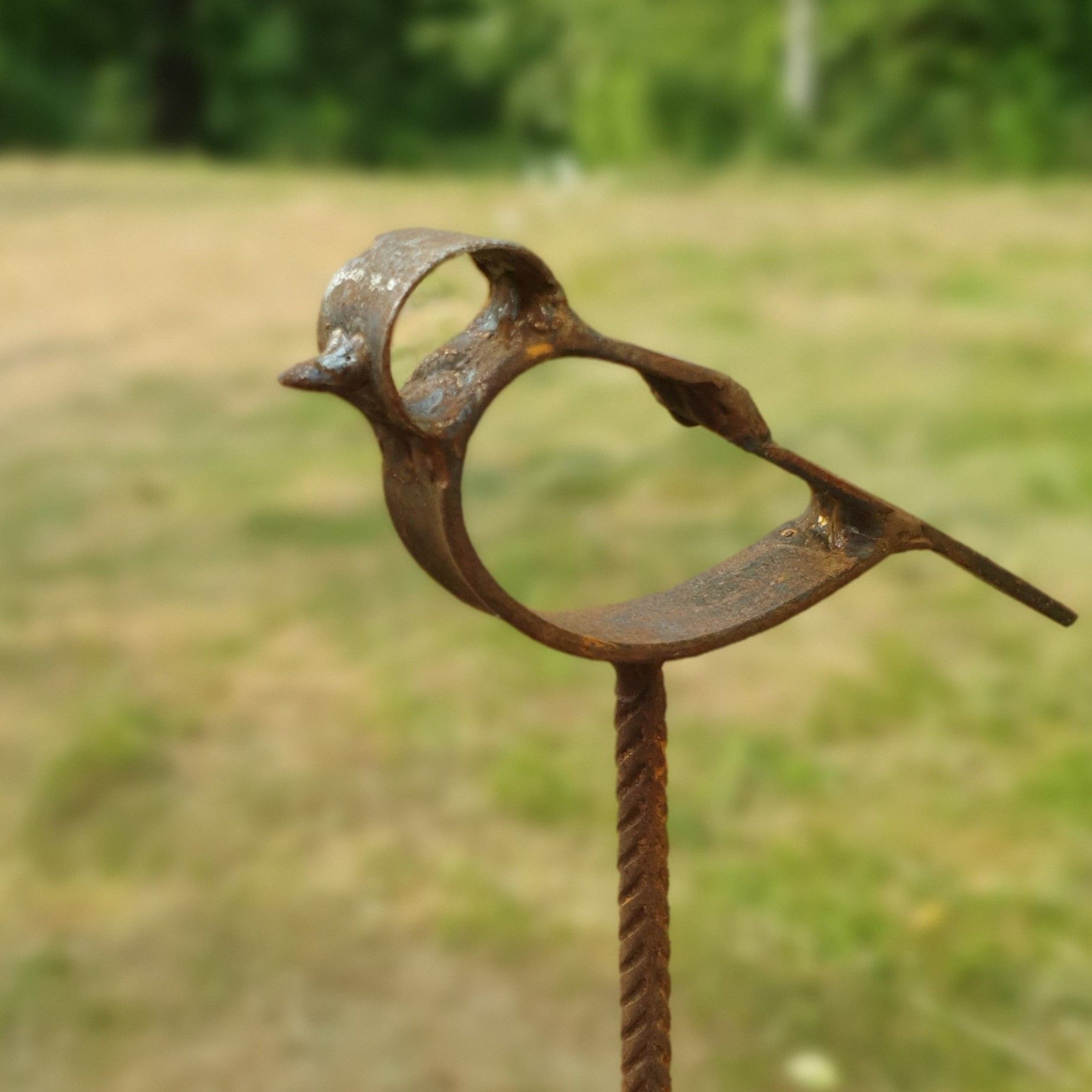 Fri Fågel i rost