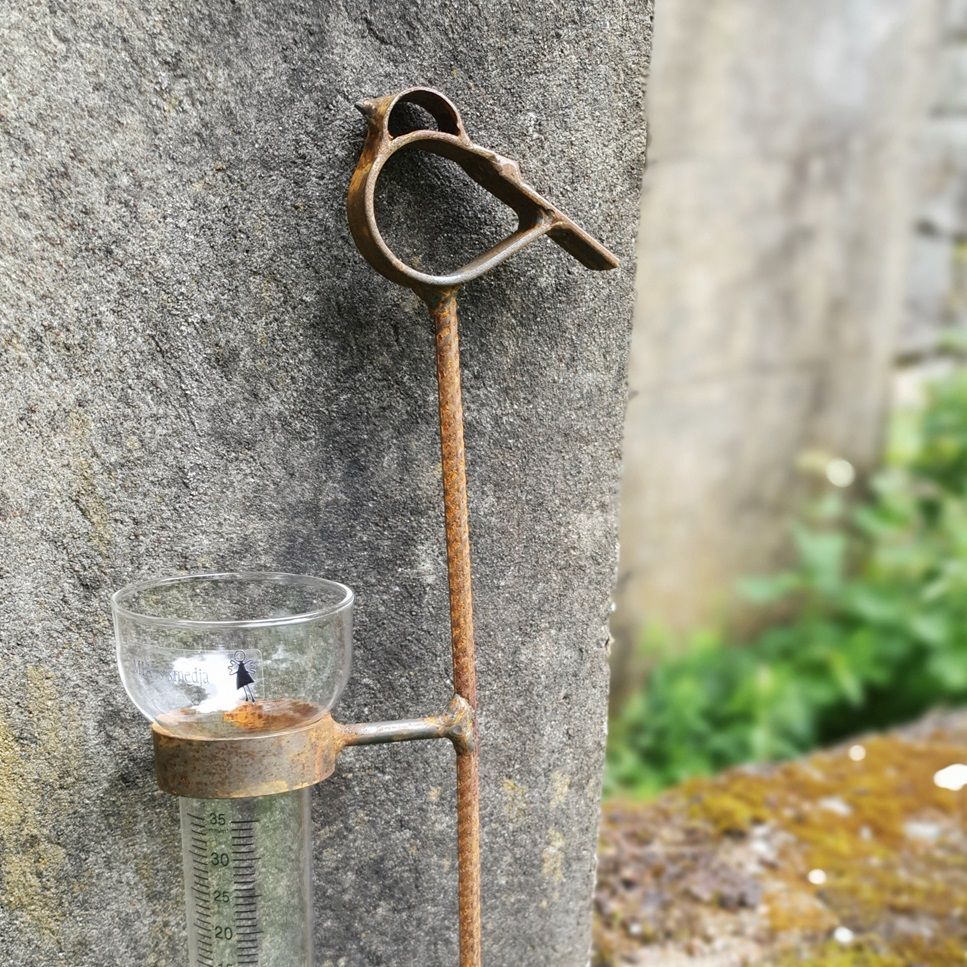 Regnmätare Fri Fågel med mätglas i glas.