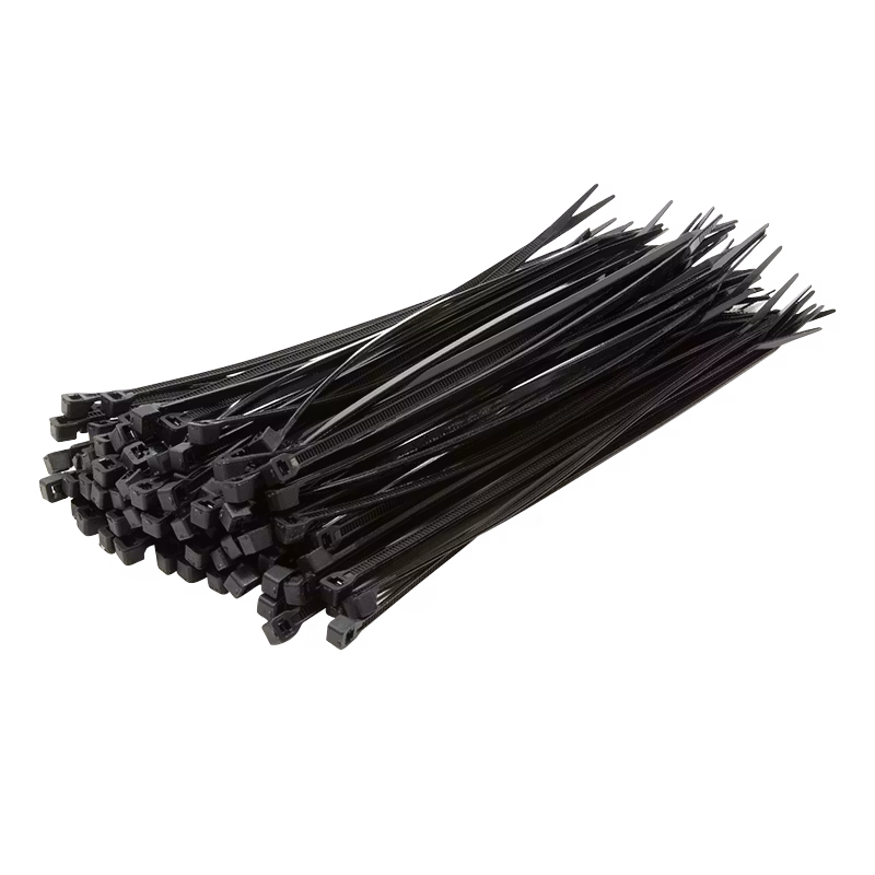 LOGILINK Strips 100stk Sort 2,5mm x 100mm