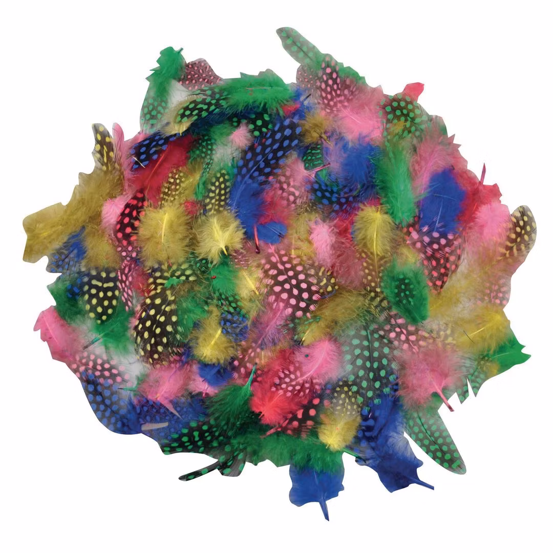 Perlehønsfjær PLAYBOX ass (100)