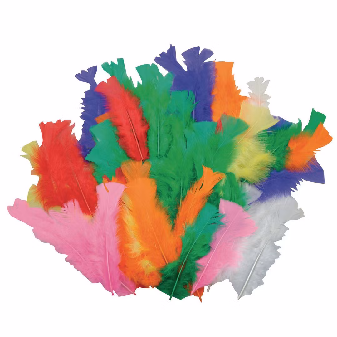 Kalkunfjær PLAYBOX (60)