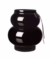 Vas höjd 21,5 cm