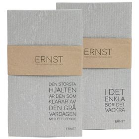 Disktrasa 2-pack