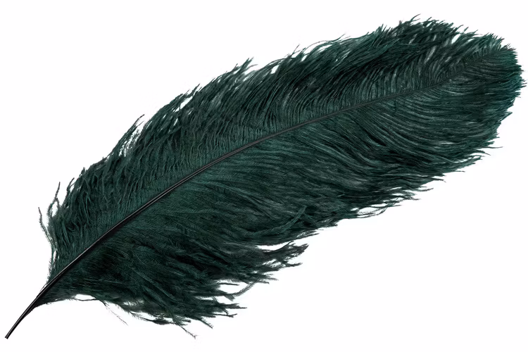 Strutsfjäder Mörkgrön ca 60cm