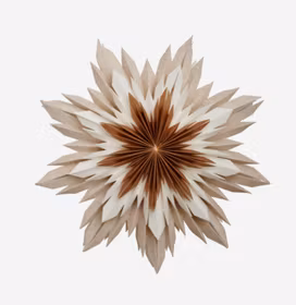 Marta 60 brun