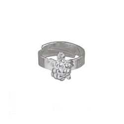 Hjortron silverring