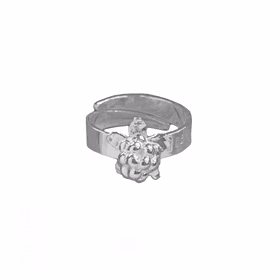 Hjortron silverring