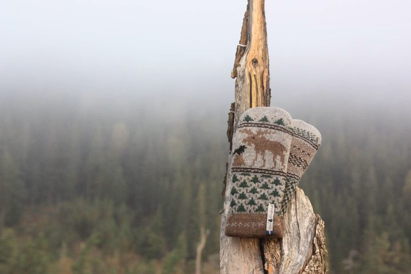 Öjbro Vantfabrik,SKOGEN, TUMVANTE