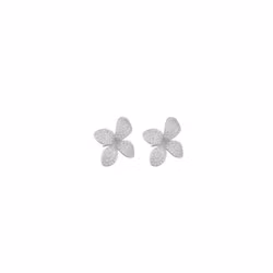 Fiona small ear s/clear