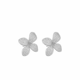 Fiona big ear s/clear