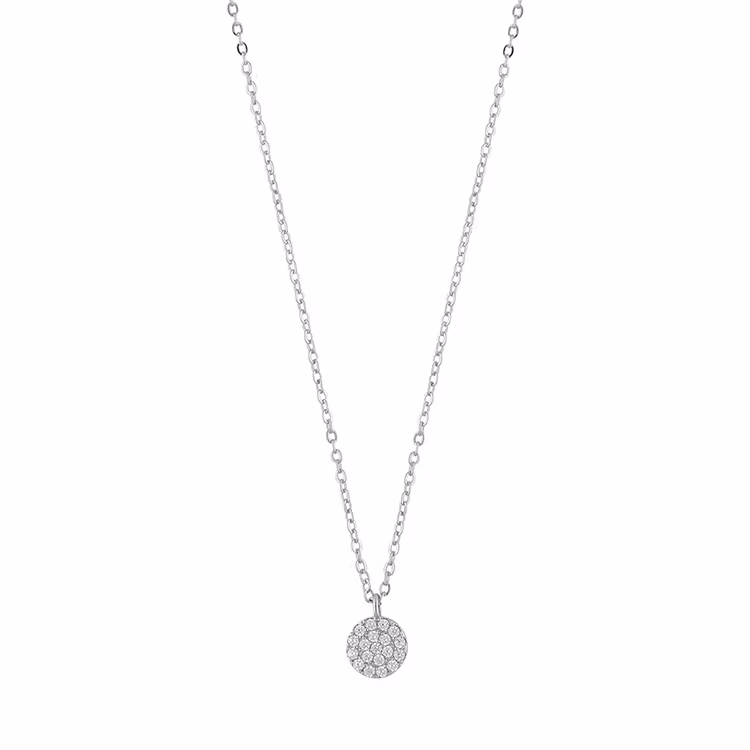 Hanni small coin pendant neck 40 s/clear