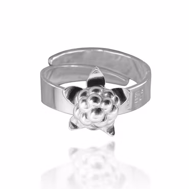 Hjortron silverring