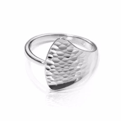 Stora Sjöfallet ring