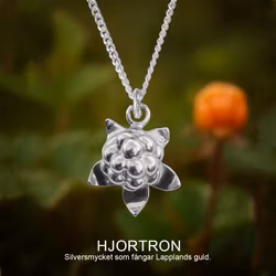 Hjortron halssmycke