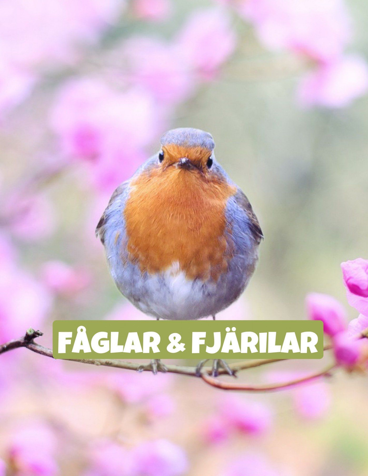 Fåglar & Insekter - NataliasAtelje