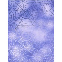 Tryckta broderityger Aida 5,4 rutor/cm 14 count 30 cm x 40 cm Spindelväv