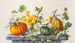 Broderikit Tavla Pumpor