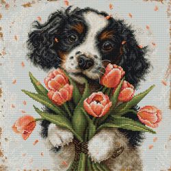 Broderikit Tavla Cocker spaniel Valpen med tulpaner