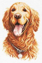 Broderikit Tavla Golden retriever Hund