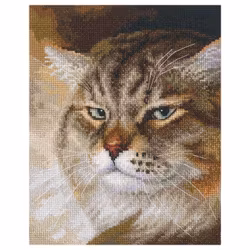 Broderikit Tavla Macho - Extremt cool katt