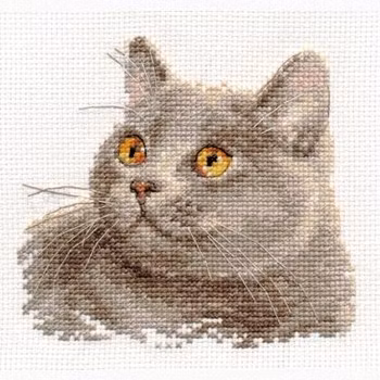 Broderikit Tavla British cat