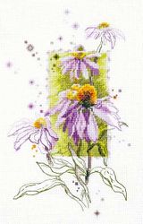 Broderikit Tavla Echinacea  Blommor Akvarell Brodera korsstygn