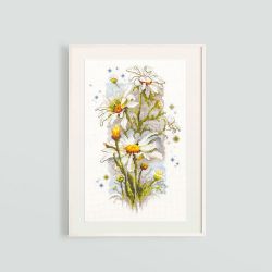 Broderikit Tavla White Daisies Akvarell Blommor Brodera korsstygn