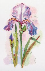 Broderikit Tavla Vattenfärg iris