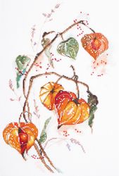 Broderikit Tavla Physalis