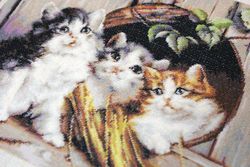 Broderikit Tavla Kattungar